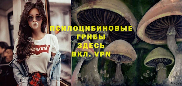 тгк Армянск